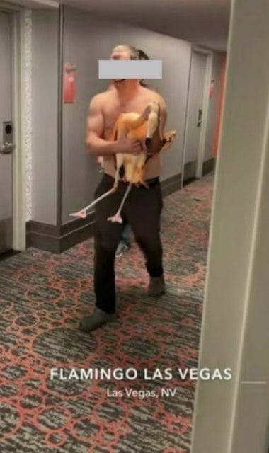 Screenshot che mostra il turista che guarda il film