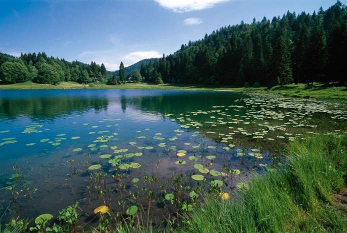 Uno stagno vicino a Oyonnax