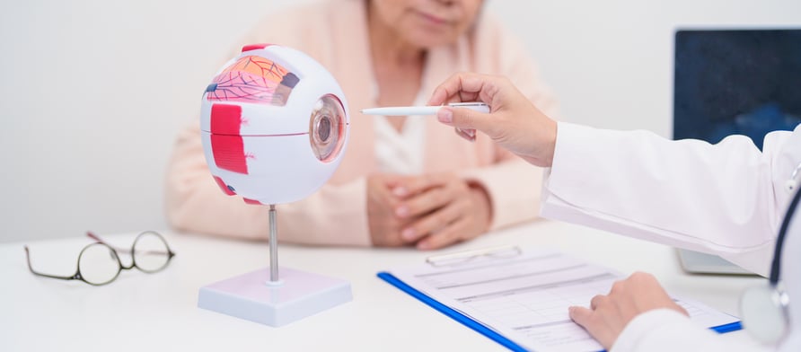 Un medico utilizza un modello di occhio