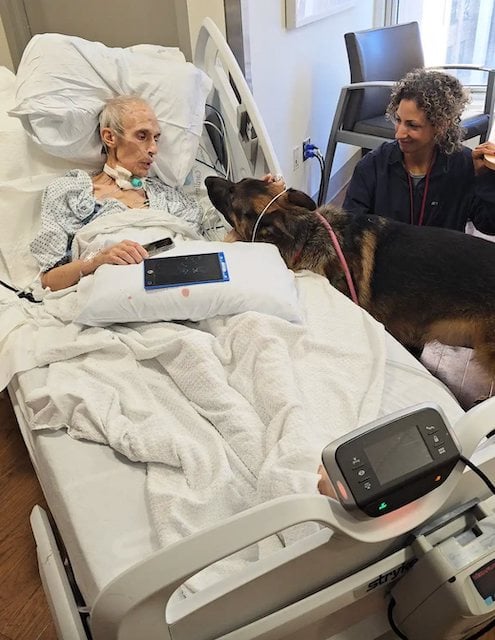 Il signor Spencer e i suoi due cani