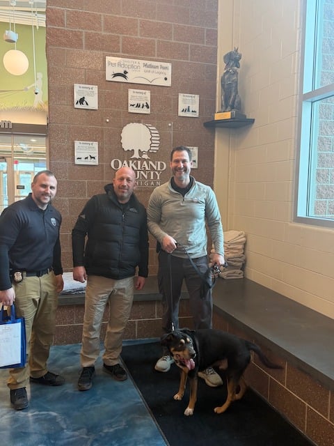 Lil Graig, il cane adottato dalla polizia