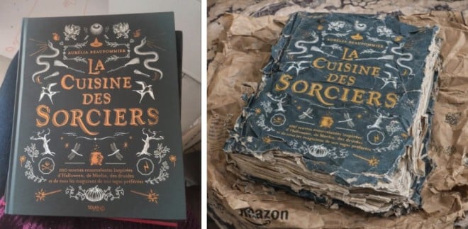 Il libro inviato e la foto generata dall'intelligenza artificiale