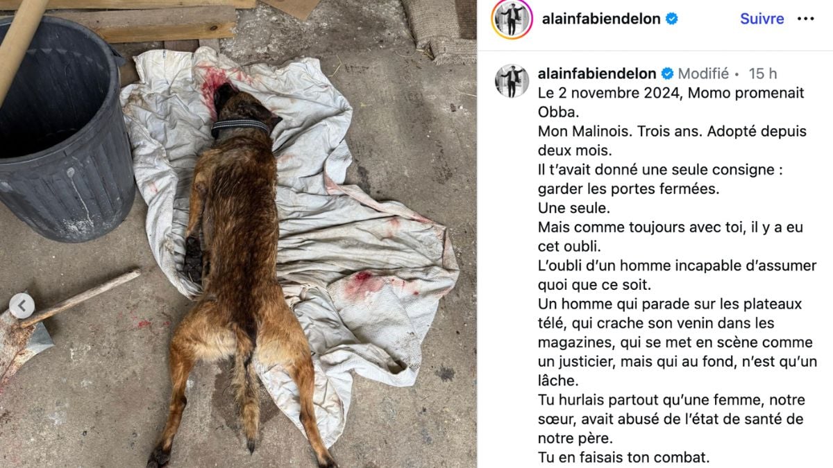Screenshot di un post su Instagram di Alain Fabien Delon