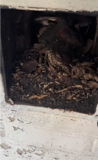 Schermata di Instagram