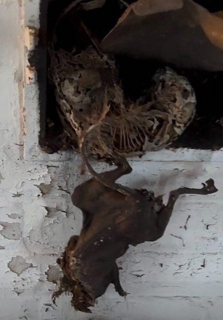 Schermata di Instagram