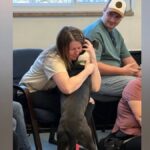 Un rifugio per animali permette ai cani di scegliere i loro futuri padroni, il video sconvolge gli utenti di Internet


