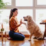 Proprietari di cani, rischiate 45.000 euro di multa se non avete a casa questa (nuova) carta


