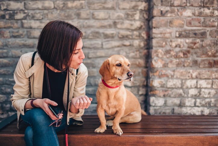 Una donna parla con un cane