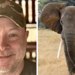 Una guida safari che disse che "preferirebbe essere uccisa da un elefante piuttosto che spararne uno"... è stata uccisa da un elefante


