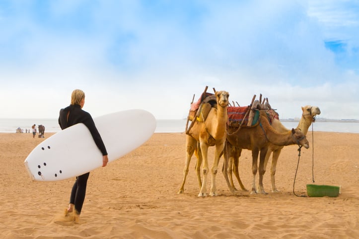 Un surfista su una spiaggia con i cammelli