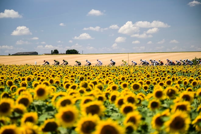 Foto dei corridori del Tour de France