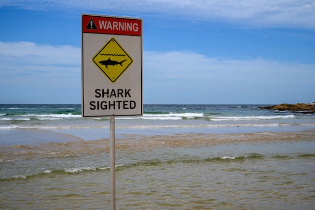 Segnale che indica la presenza di squali su una spiaggia australiana