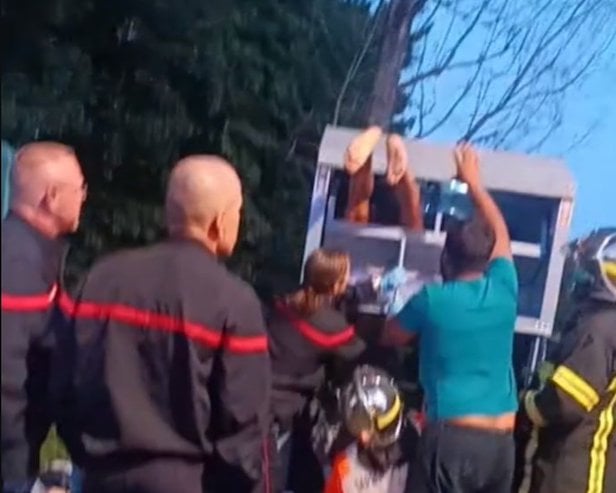 foto che mostra i vigili del fuoco in pieno intervento