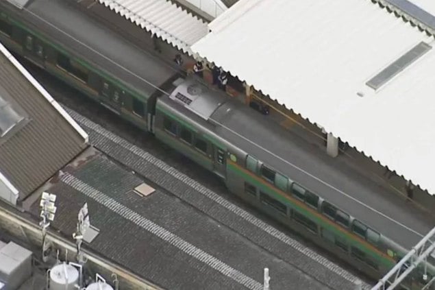 Screenshot che mostra il treno in questione