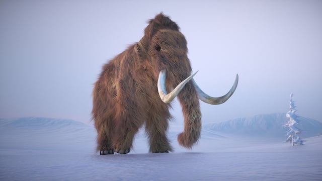 Un mammut lanoso