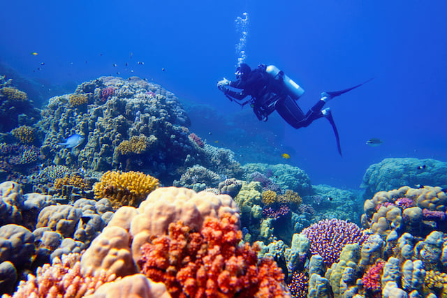 Un pescatore subacqueo in spedizione