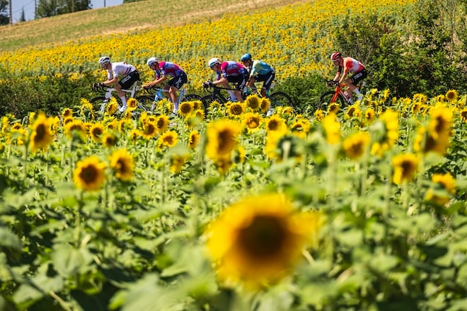 Foto dei corridori del Tour de France