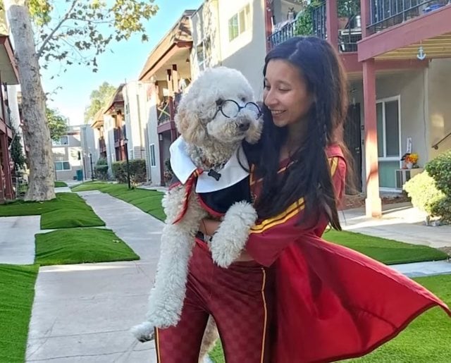La vittima, Siddhi Morabia, e il suo cane