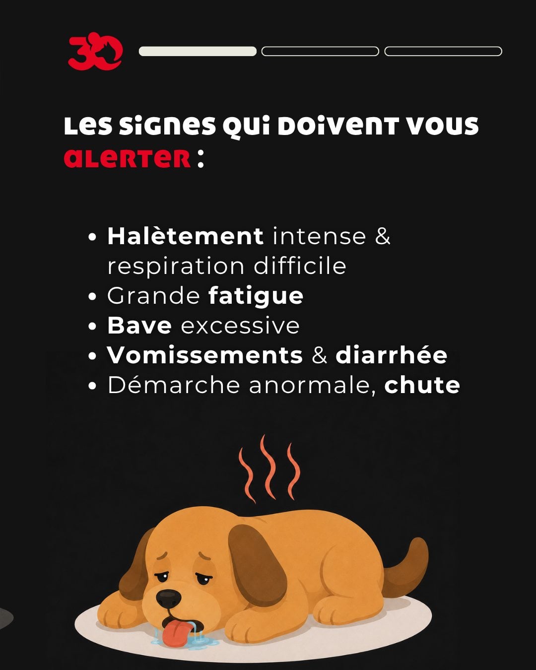 Segni di colpo di calore nei cani