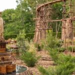 L'artista ricrea i monumenti più iconici d'America in miniatura utilizzando ghiande, foglie e corteccia d'albero


