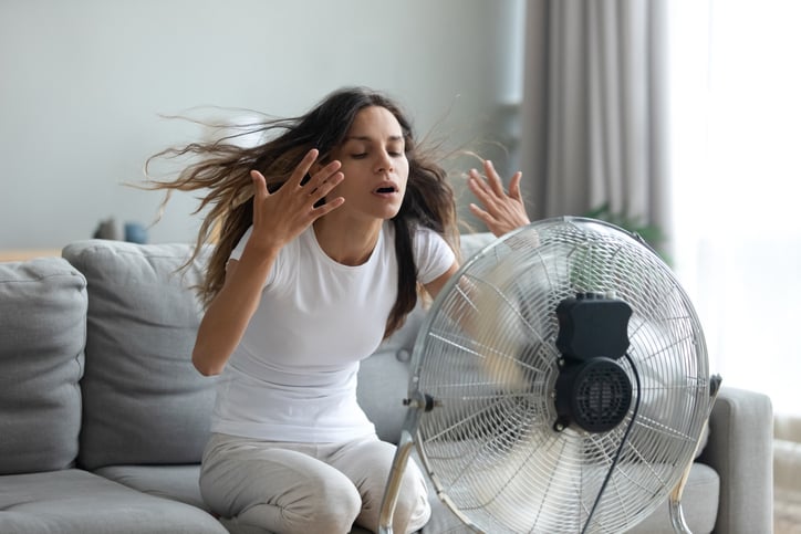 Una donna davanti a un fan