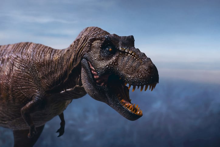 Un tirannosauro rex