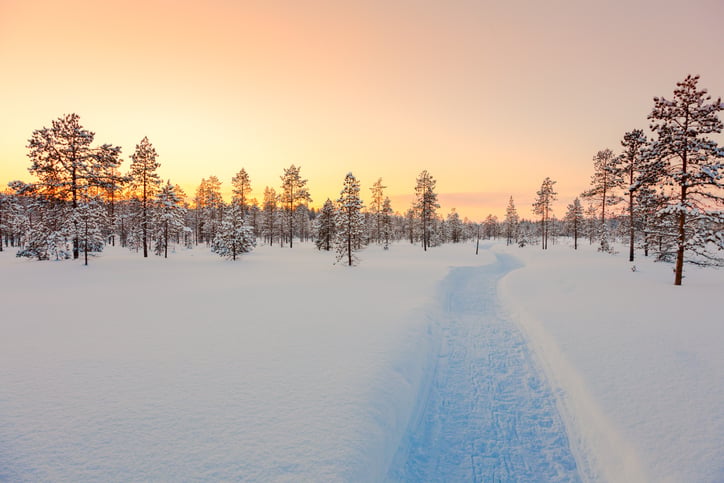 Lapponia in inverno