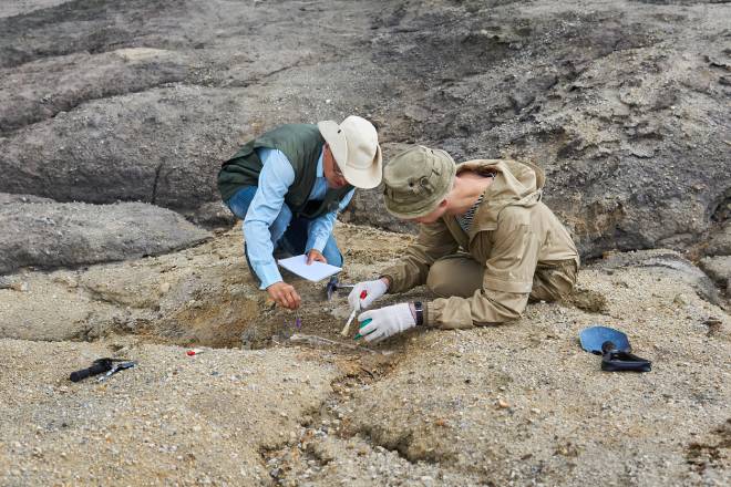 I paleontologi scoprono fossili nel deserto