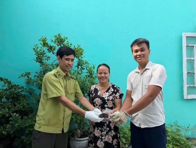 Phan Thi Hong Van e due agenti di protezione tengono in braccio la tartaruga con quattro occhi