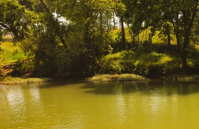 Il ruscello al Phil Moore Park di Alvaton