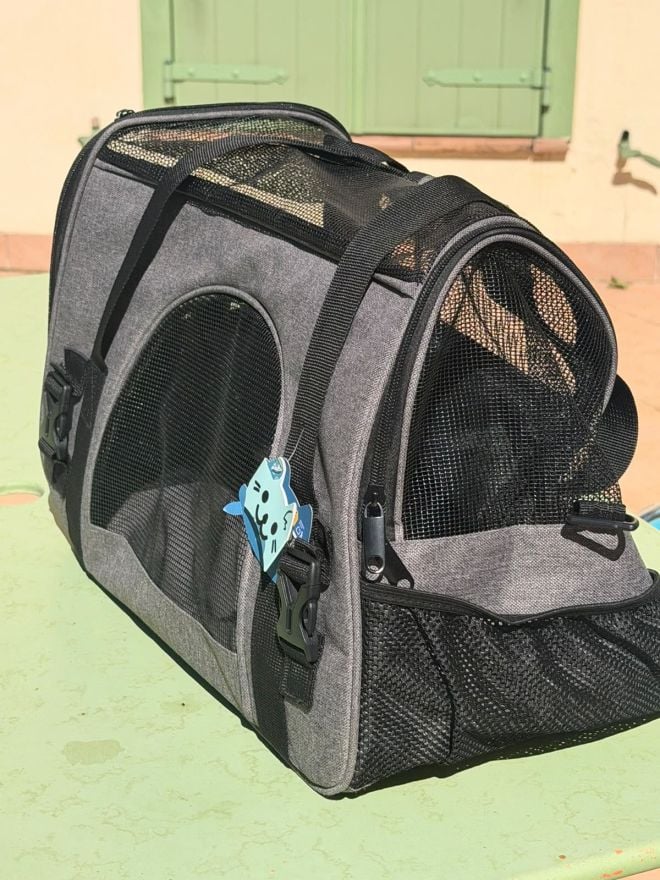 La borsa per il trasporto del gatto