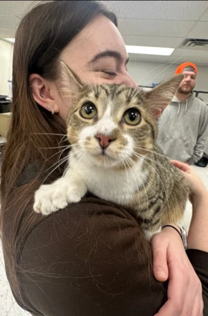 Toby, il gatto nato con una particolarità straordinaria e la sua padrona