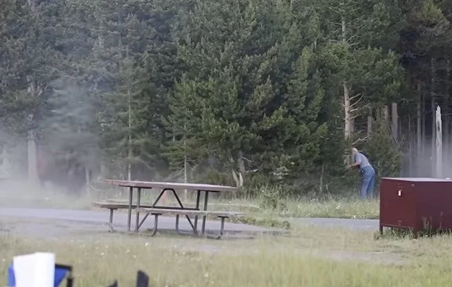 Il camminatore in fuga dal bisonte