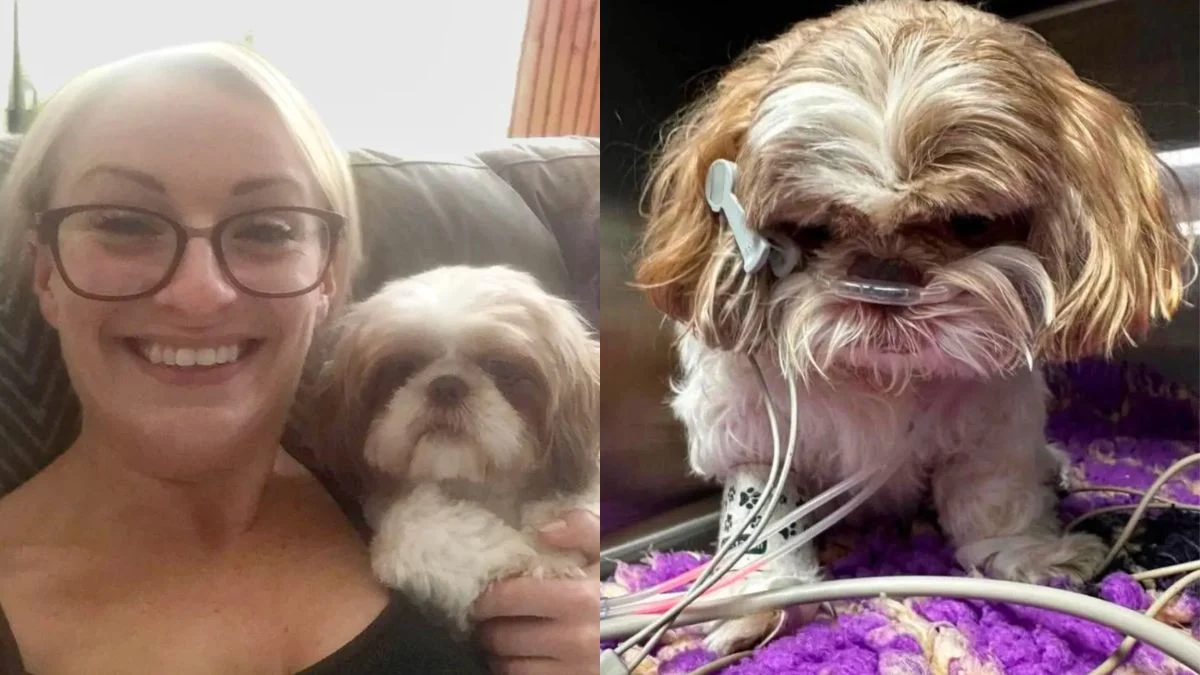 Eve Lewis e il suo cane Ethel, deceduti