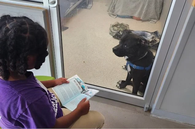 Nehemiah Turner legge a un cane del rifugio