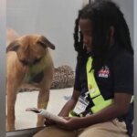 A soli 11 anni, trascorre più di 100 ore a leggere per dare rifugio agli animali e calmarli


