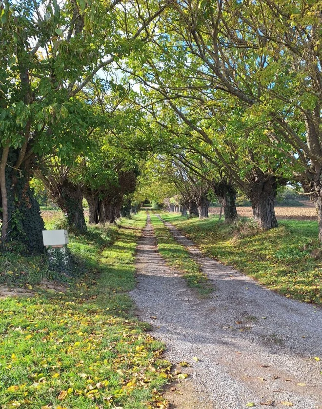 I boschi di Escoumes