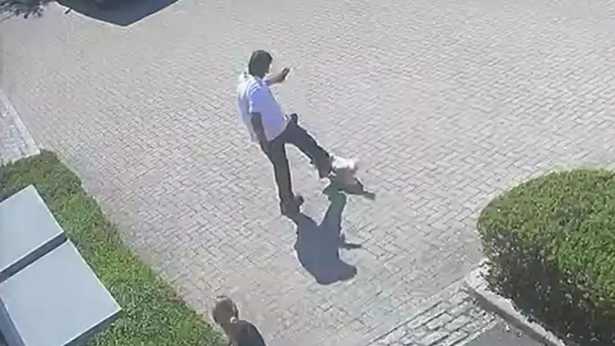 Un postino uccide a calci un cane l'11 luglio 2026 in Inghilterra