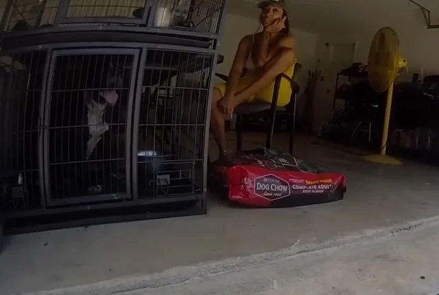 Il proprietario degli animali nel garage