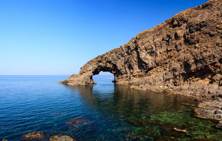 L'Elefante Arco