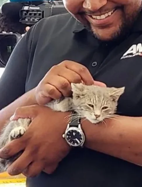 Un uomo che tiene in braccio il gattino