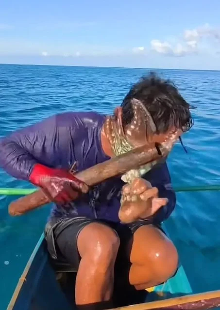Il pescatore cerca di liberarsi del polpo