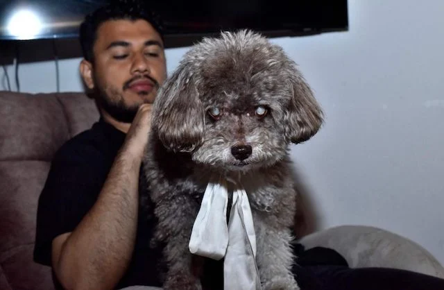 Michael Ruiz e il cane Salomon