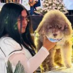“Ha dato la vita per lui”: una donna di 37 anni muore salvando la vita al suo cane cieco durante un terremoto 


