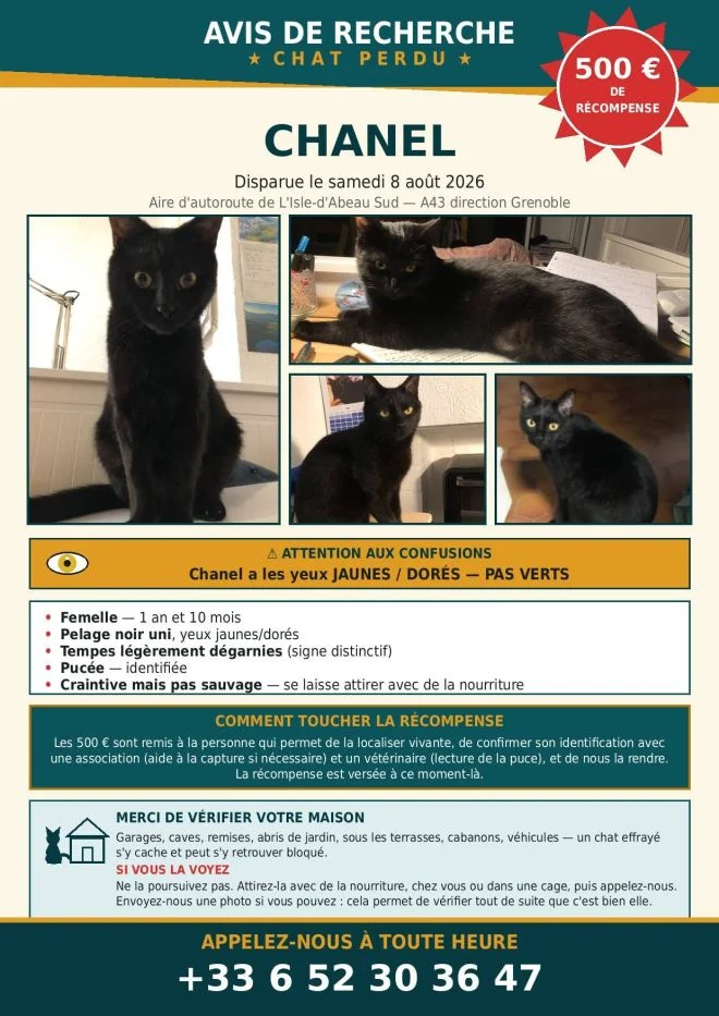 L'annuncio del gatto smarrito