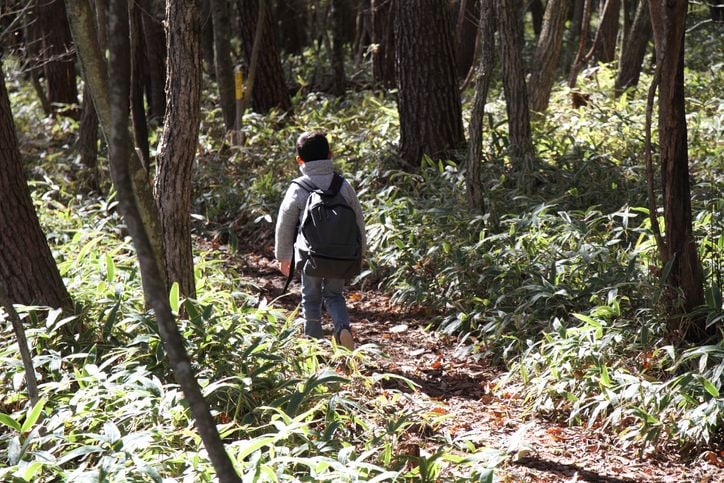 Un bambino solo nel bosco