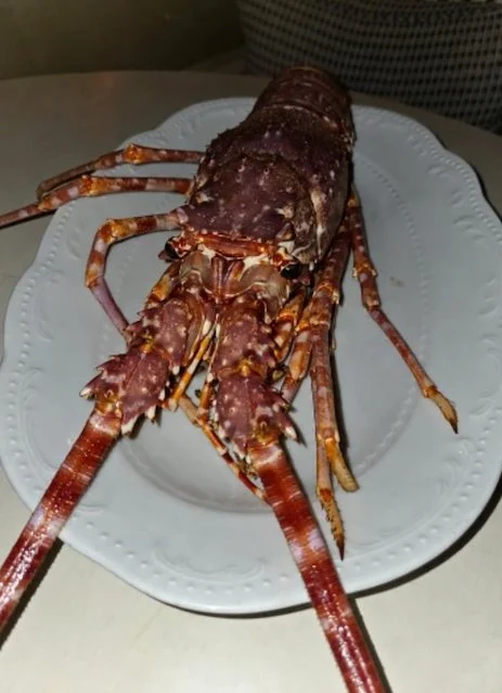 L'aragosta