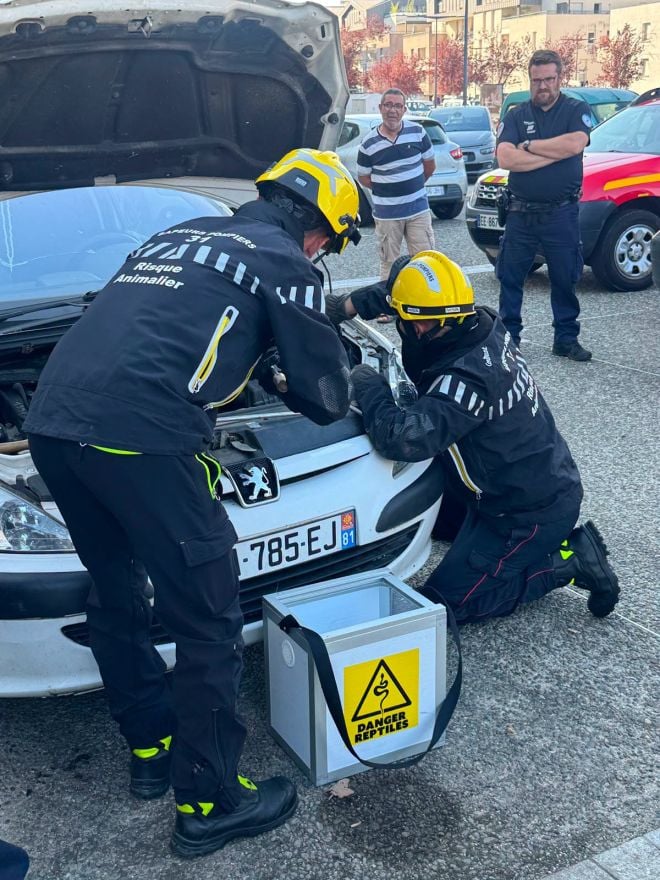 Sul posto i vigili del fuoco