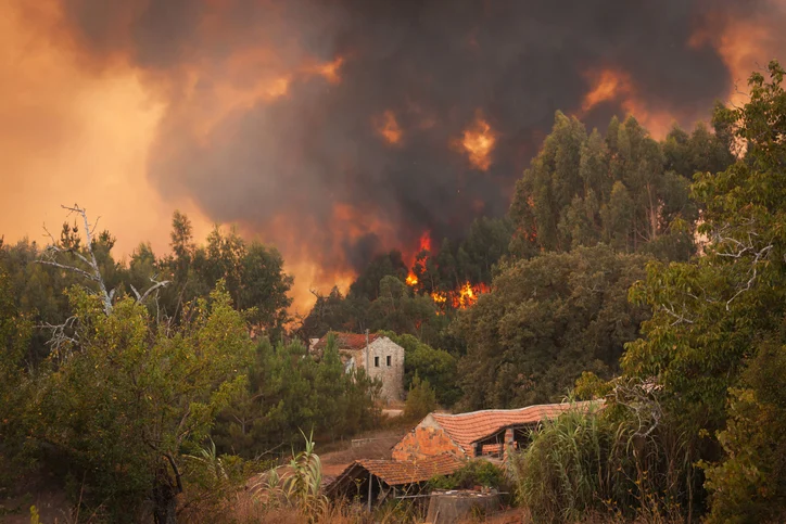 Un incendio boschivo