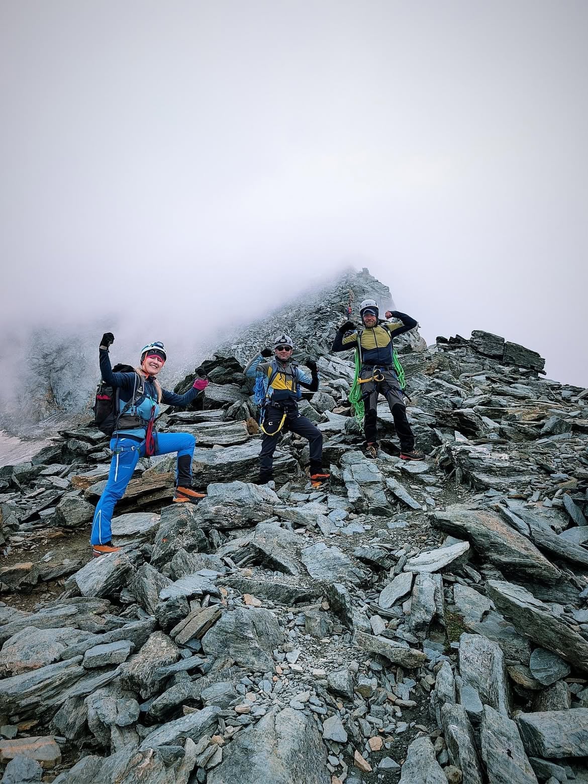 Gli alpinisti